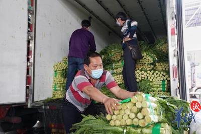 廣州伸援手，助力湖北滯銷農副產品順利銷售